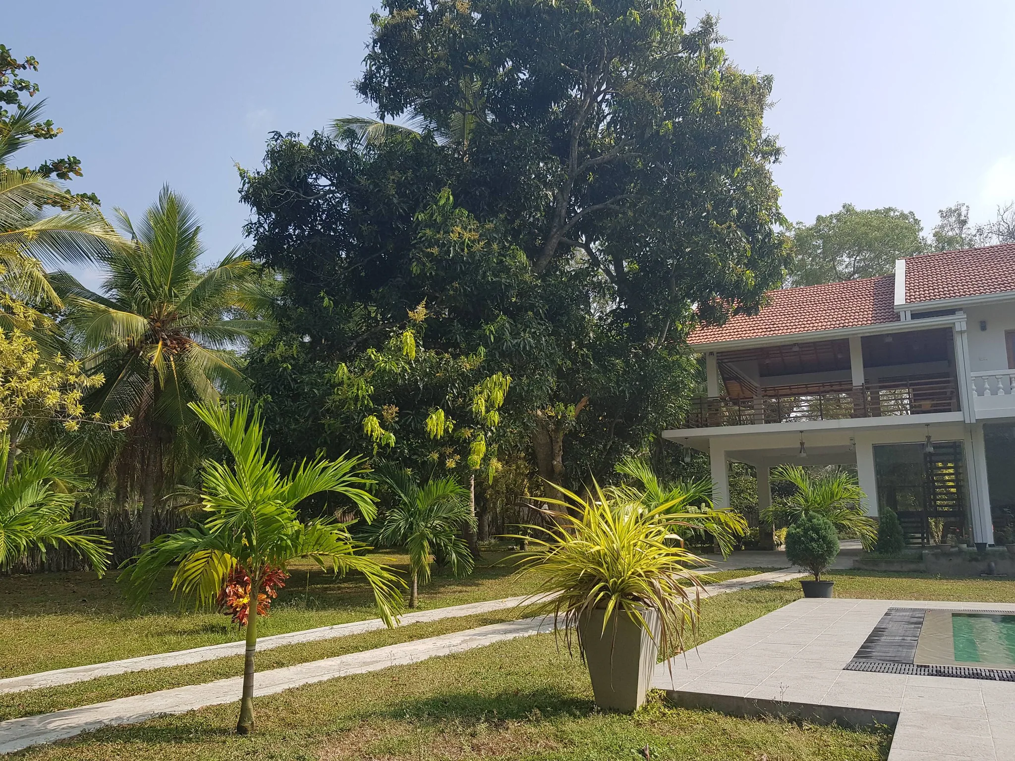 An actual view of the villa and garden walkway