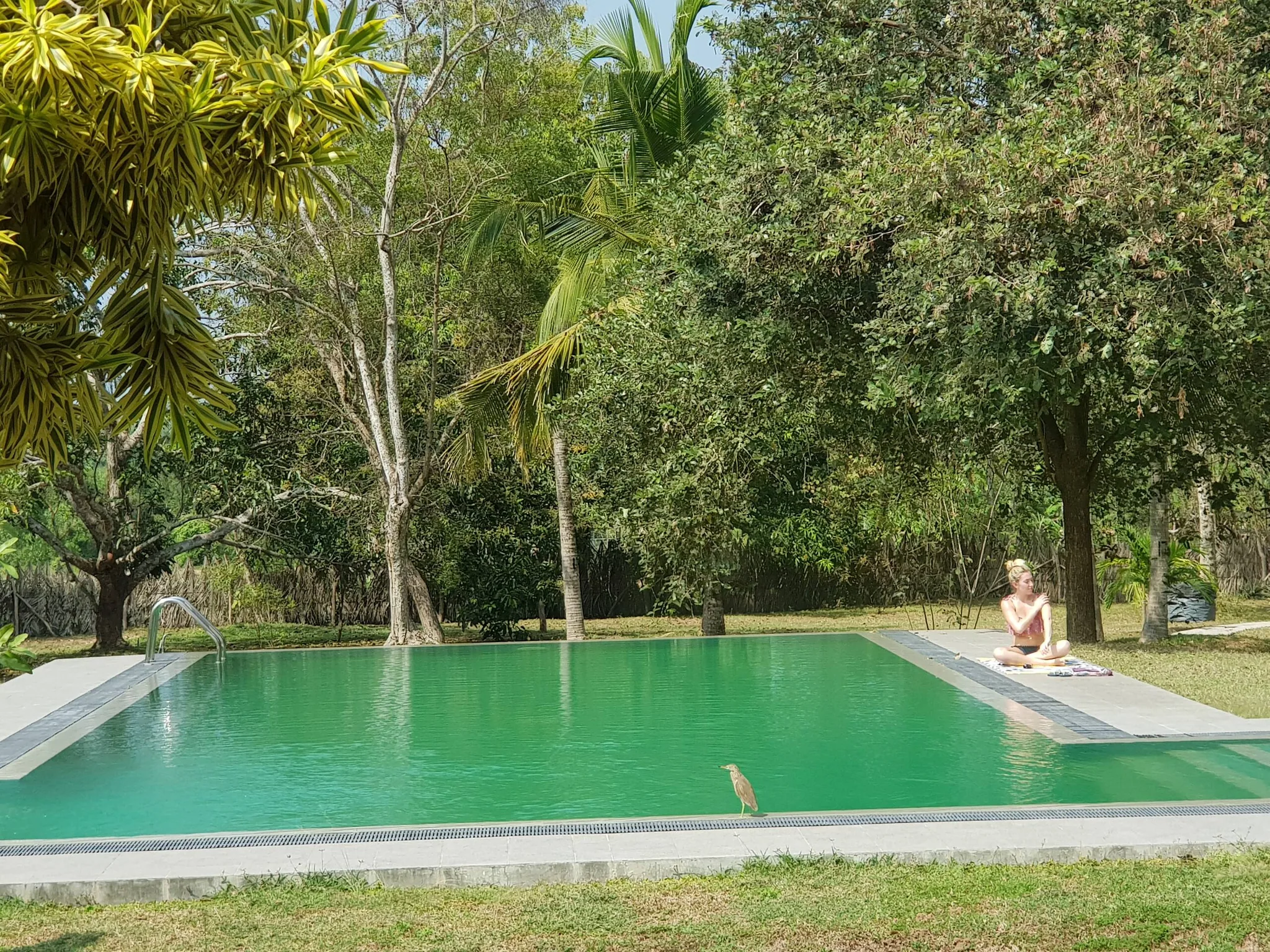 The existing swimming pool and tropical garden at the estate