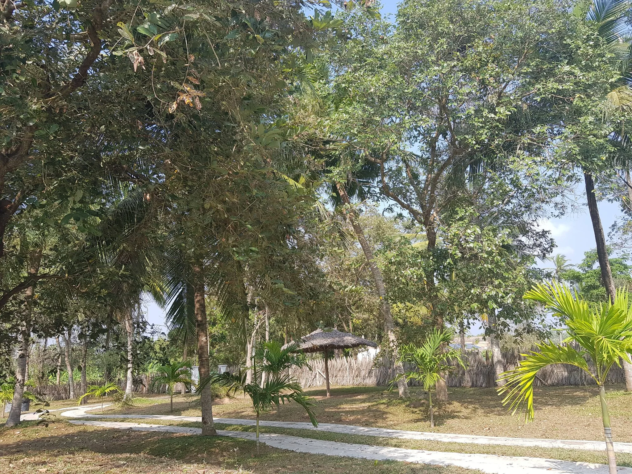 Mature trees and shaded garden grounds photographed at the estate